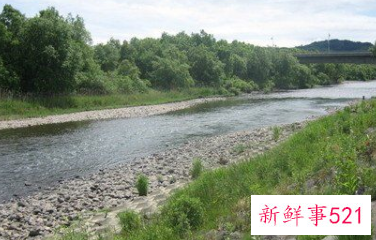 女人梦见河水运气好不好