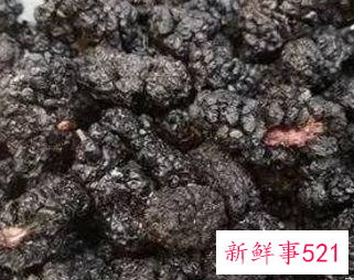 桑葚干泡水喝的禁忌人群