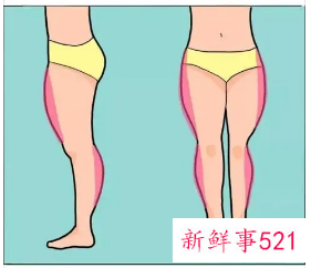 大腿臀部肥胖怎么减