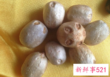 南酸枣果核的功效与作用