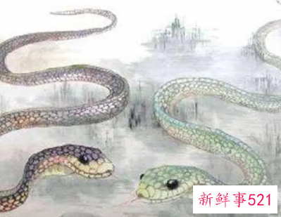 十二生肖颜色查询表