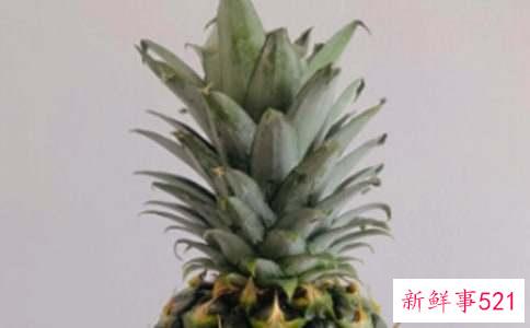 梦见很多熟透菠萝