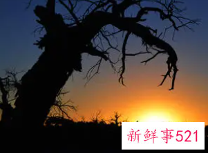 梦见自己把别人杀了是什么意思