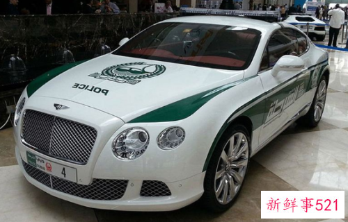 世界上最豪华的警车