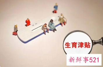 合肥生育津贴领取流程