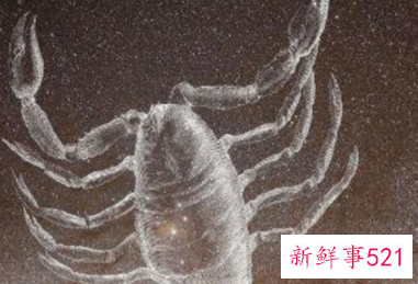 哪个星座最难追