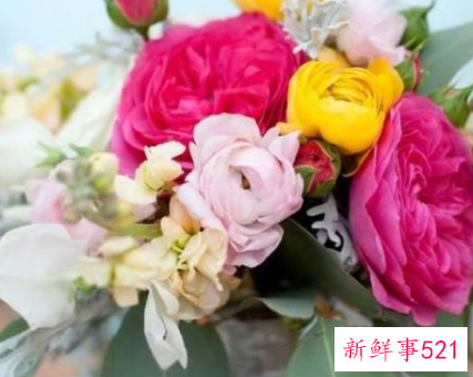 让人无法拒绝的表白有哪些