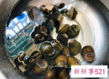 田螺排骨煲做法