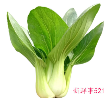 上海青菜是热性还是凉性