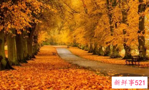 十一国庆节穿长袖还是短袖