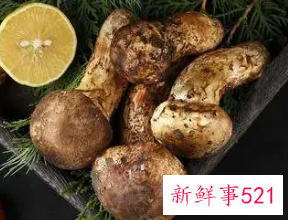 松茸的热量有多高