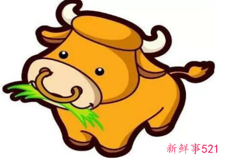 属牛的上等婚姻