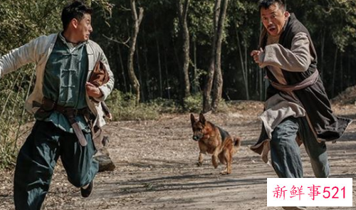 梦见被人追着跑