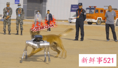 国产牦牛仿生机器人亮相