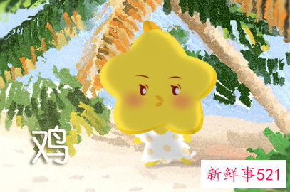 属鸡的出生时辰命运