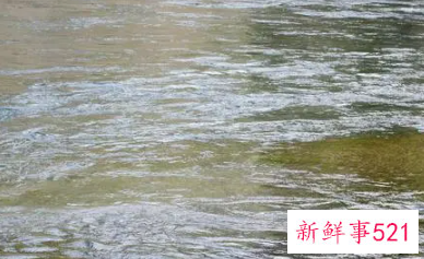 女人梦见河水运气好不好