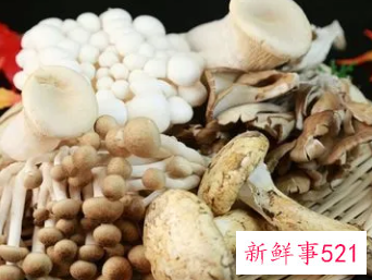 菌类什么营养价值高