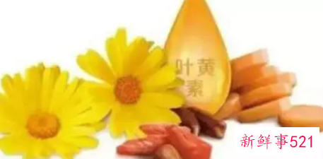 叶黄素保护眼睛的作用有哪些