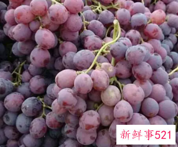 提子的功效与作用