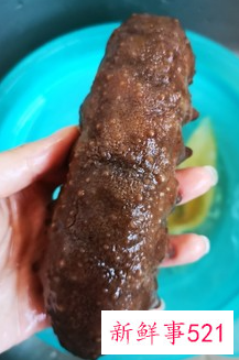 海参和花胶炖鸡汤的做法