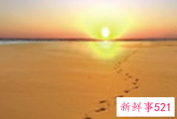 家最温馨的港湾