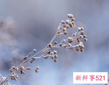 24节气哪个寓意最好