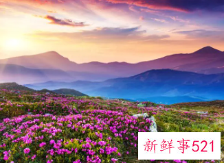 情绪低落怎样调节