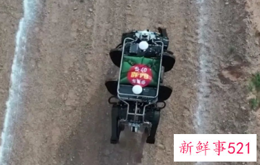 国产牦牛仿生机器人亮相