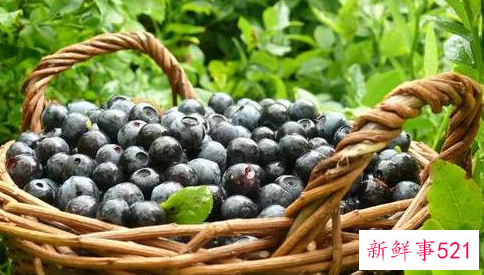 蓝莓葡萄有什么好处