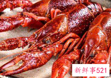 孕妇梦见抓了好多小虾是什么意思