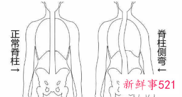 请不要让孩子过早学写字