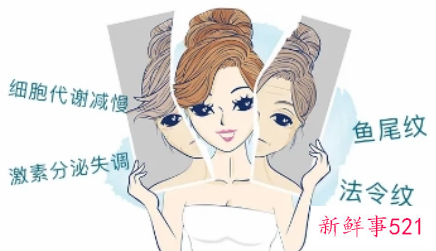 熟女狙击皱纹作战计划