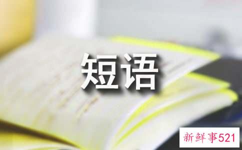 感悟情感的经典短语