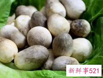 菌类什么营养价值高