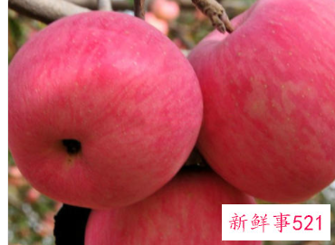 秋冬干燥吃什么滋润