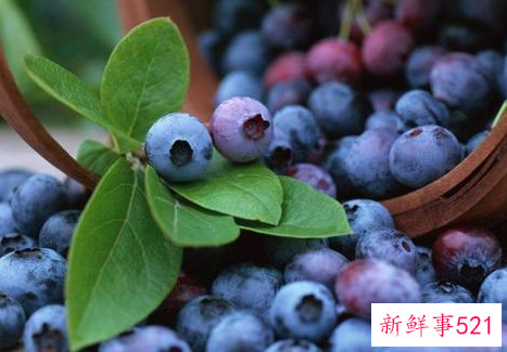 蓝莓葡萄有什么好处