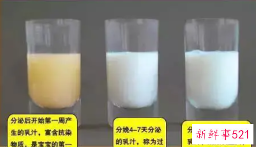 初乳一般会持续几天