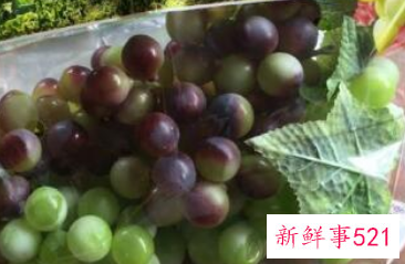 葡萄怎样保存