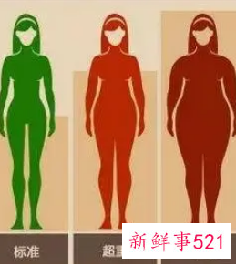 吃什么可以减脂肪最快