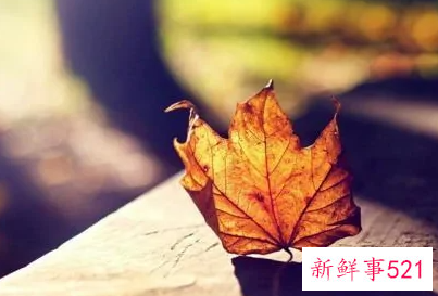 二婚男女新鲜期有多久