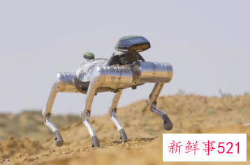 国产牦牛仿生机器人亮相