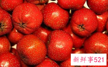 山楂的功效与作用有哪一些