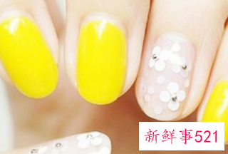 方圆形甲型怎么修