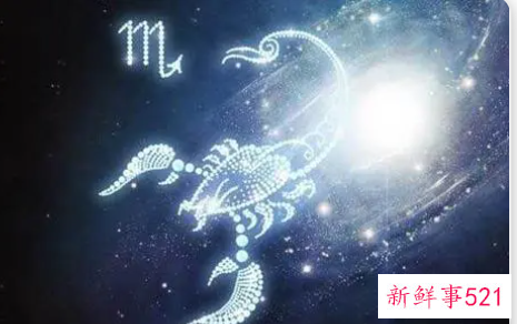 最肤浅的星座女