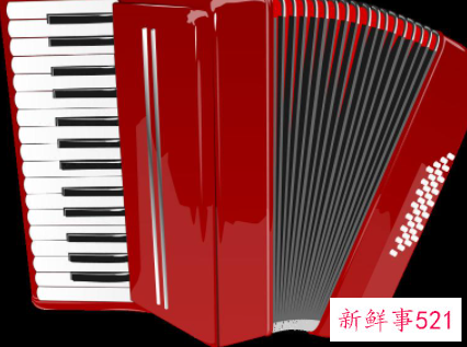 中老年学手风琴买多大的琴