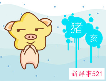 属猪的不能去哪个方向