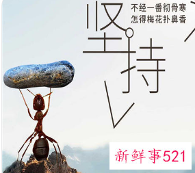 团队正能量语录