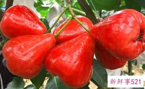 莲雾的花样吃法