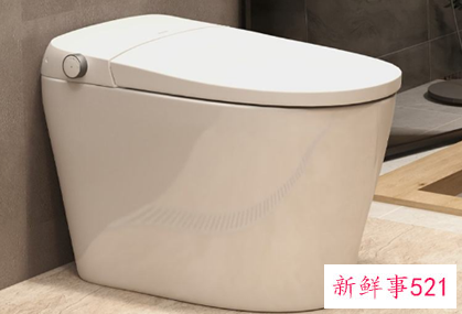 怎样选择智能马桶