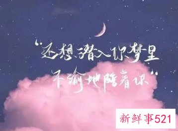 几句表白的情话超简单